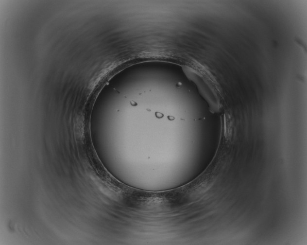 X0000102030204200807181358