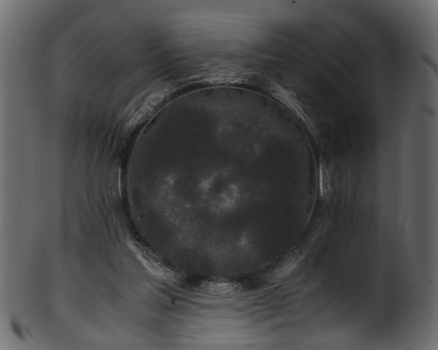 X0000102030205200807181358