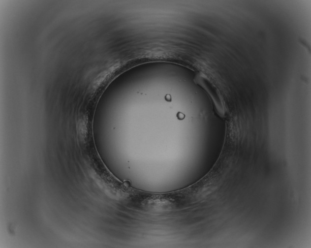 X0000102030208200807181358