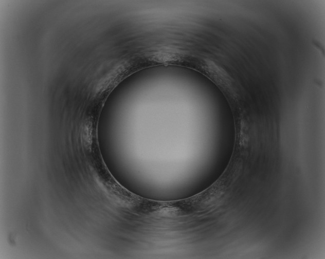 X0000102030210200807181358