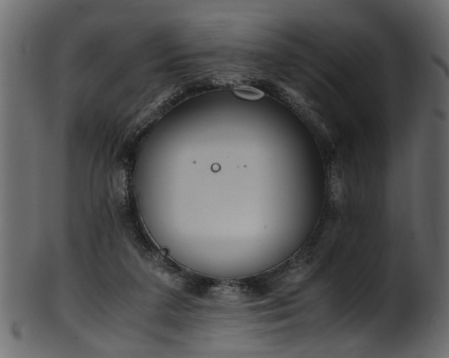 X0000102030211200807181358