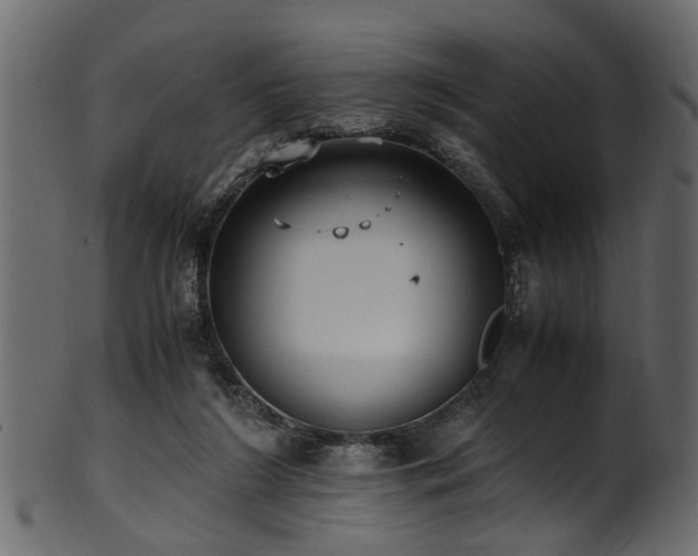 X0000102030212200807181358