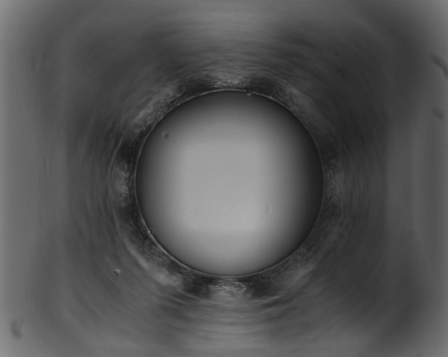 X0000102030215200807181357