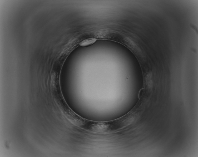 X0000102030217200807181357