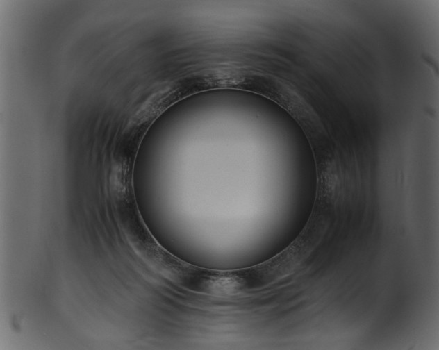 X0000102030218200807181357