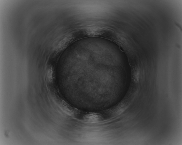 X0000102030219200807181357