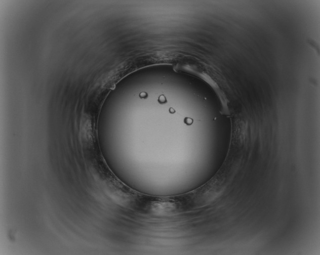 X0000102030220200807181357