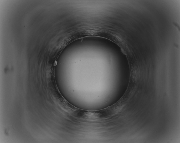 X0000102030221200807181357