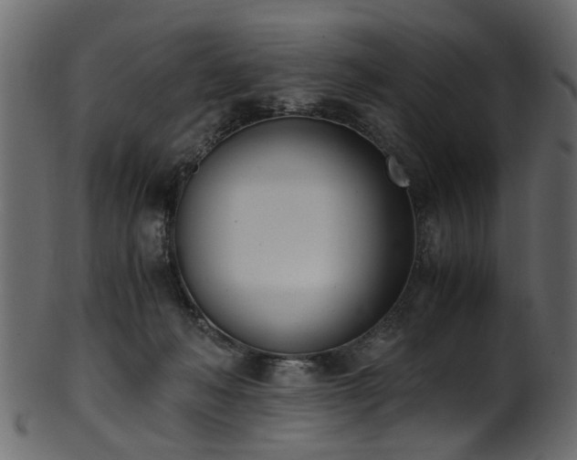 X0000102030222200807181357