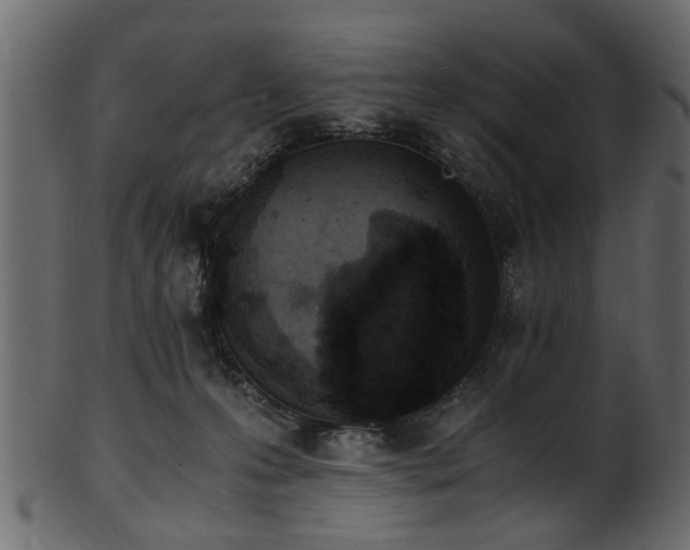 X0000102030223200807181357