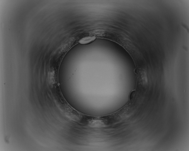 X0000102030224200807181357