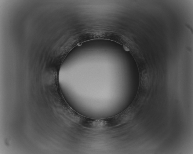 X0000102030225200807181357