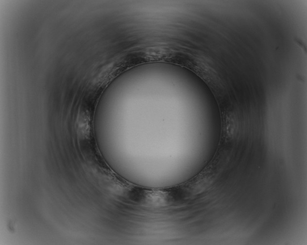 X0000102030226200807181357