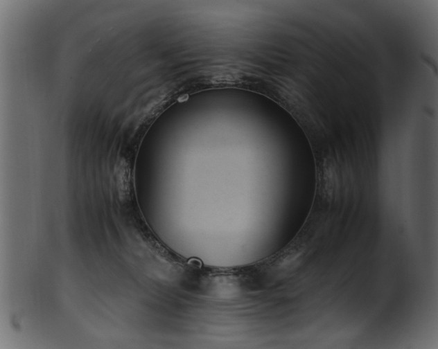 X0000102030228200807181357