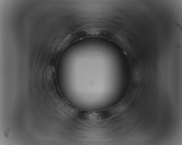 X0000102030229200807181357