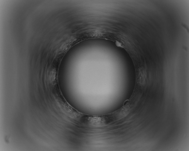 X0000102030230200807181357