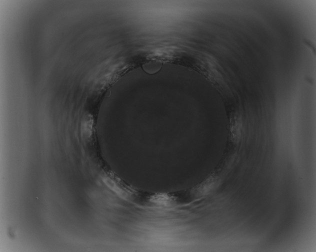 X0000102030231200807181357