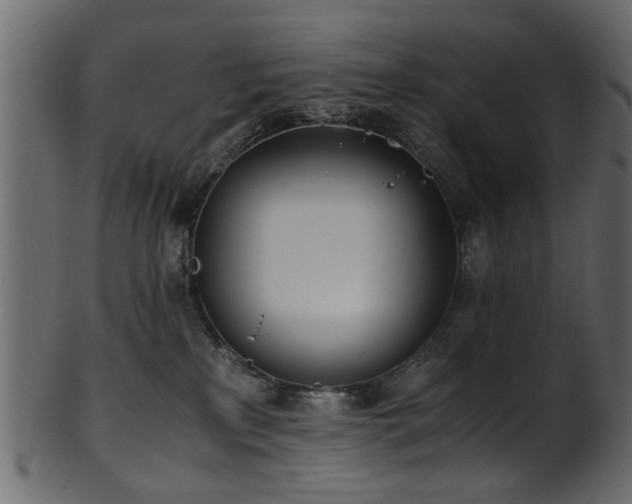 X0000102030233200807181357