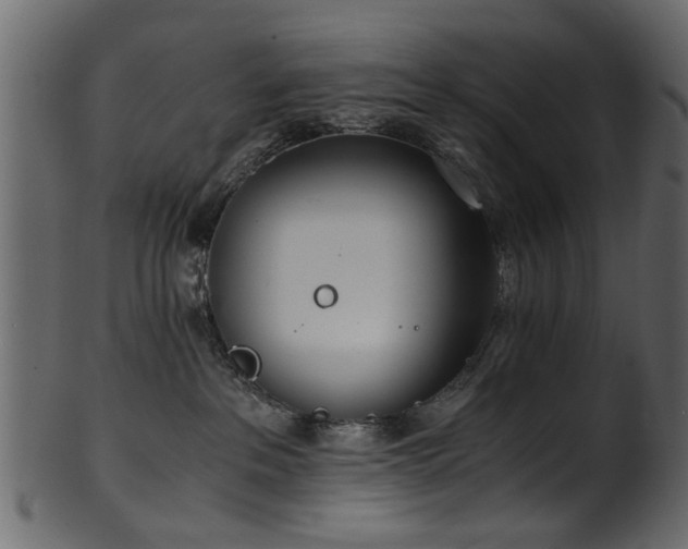 X0000102030237200807181357