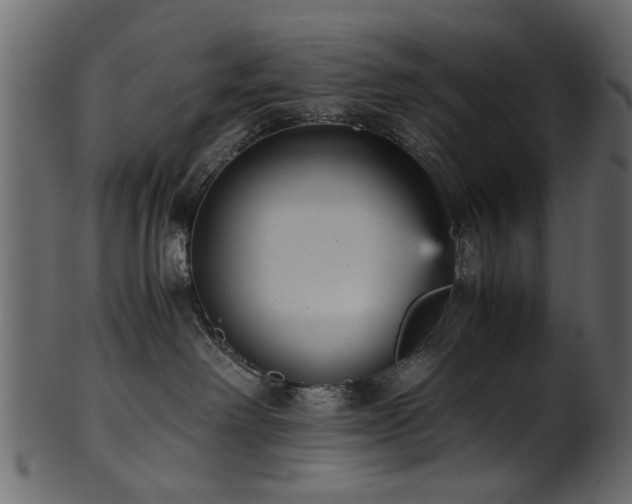 X0000102030238200807181357