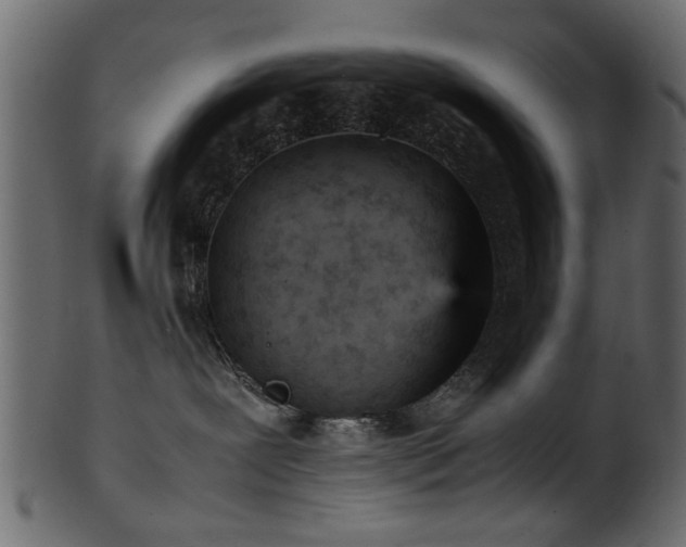 X0000102030239200807181357