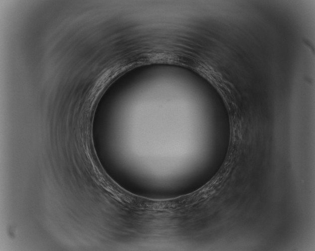 X0000102030241200807181356