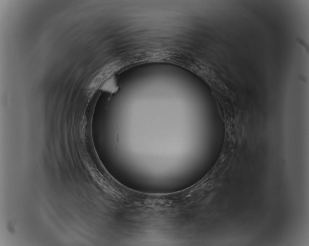 X0000102030242200807181356