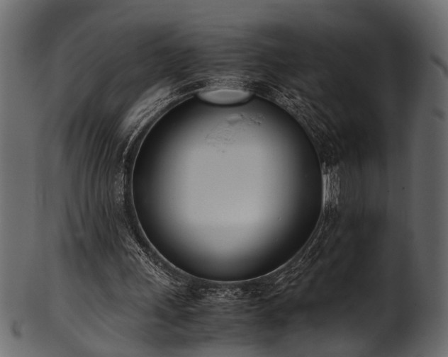 X0000102030243200807181356