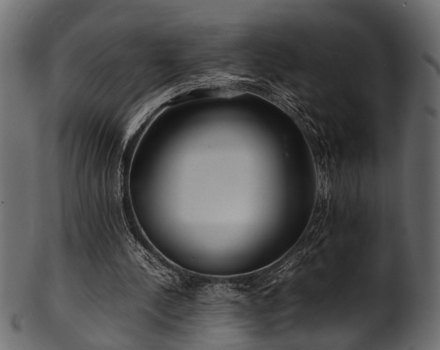 X0000102030244200807181356