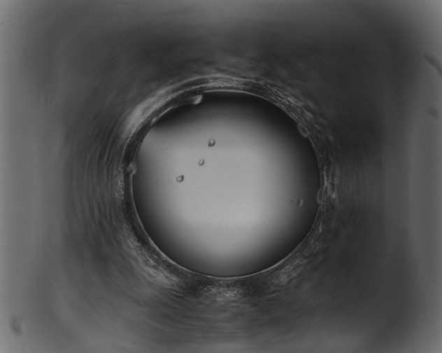 X0000102030247200807181356