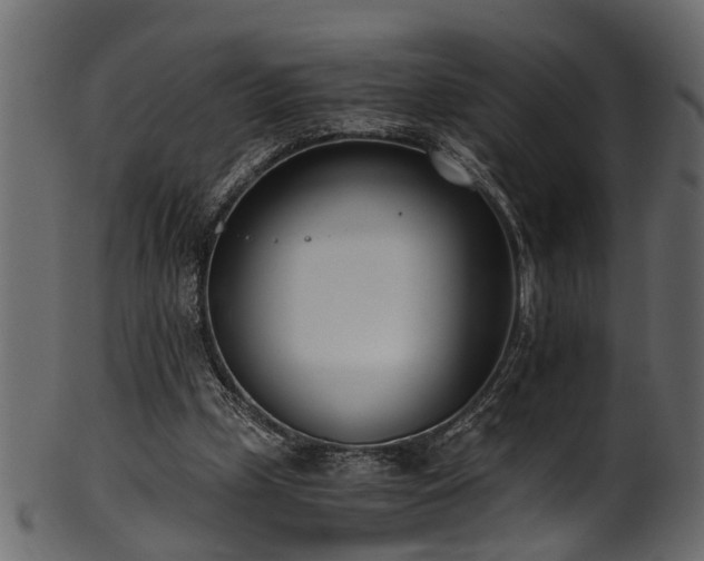 X0000102030249200807181356