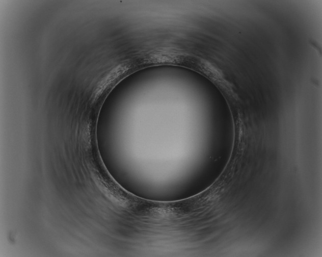 X0000102030250200807181356