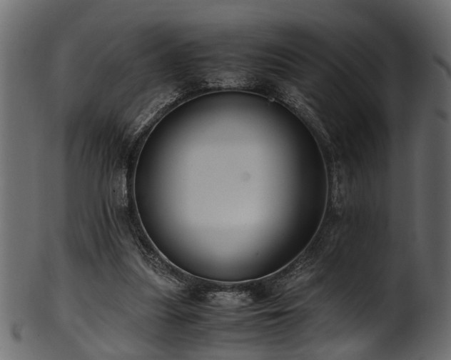 X0000102030251200807181356