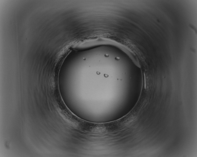 X0000102030252200807181356