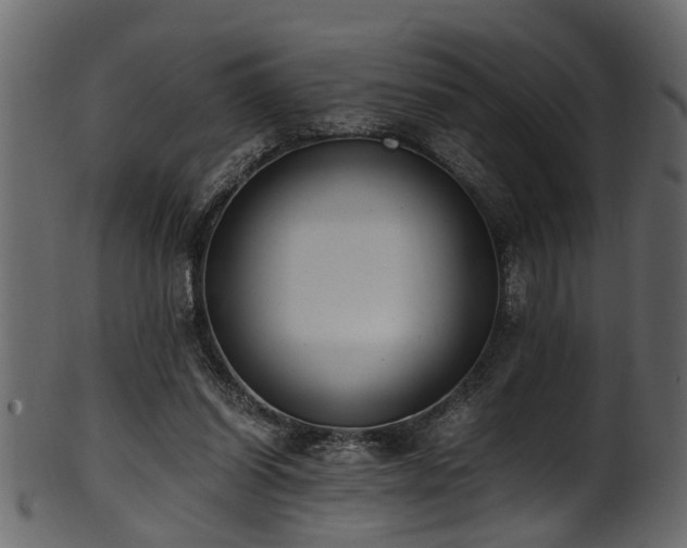 X0000102030254200807181356