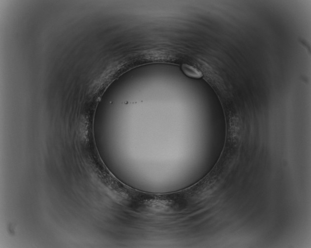 X0000102030255200807181356