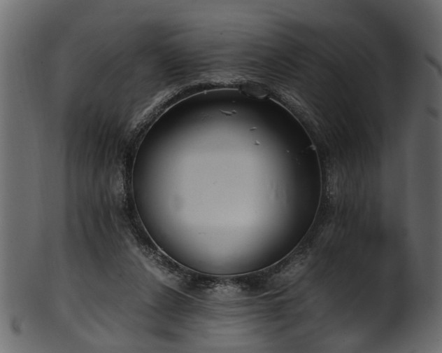 X0000102030256200807181356