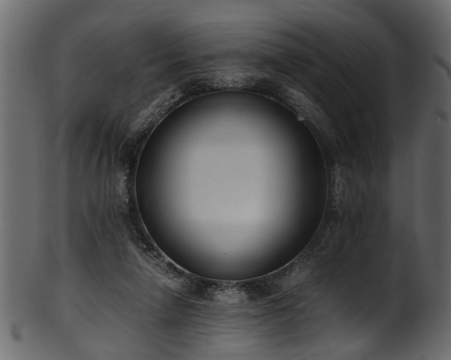 X0000102030258200807181357