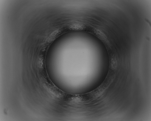 X0000102030259200807181357