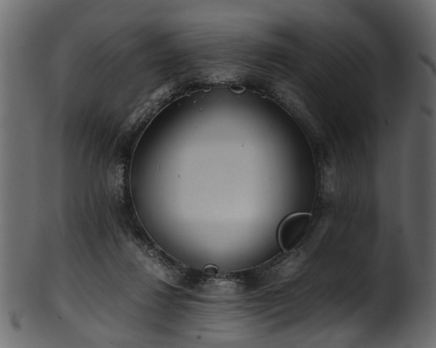 X0000102030260200807181357