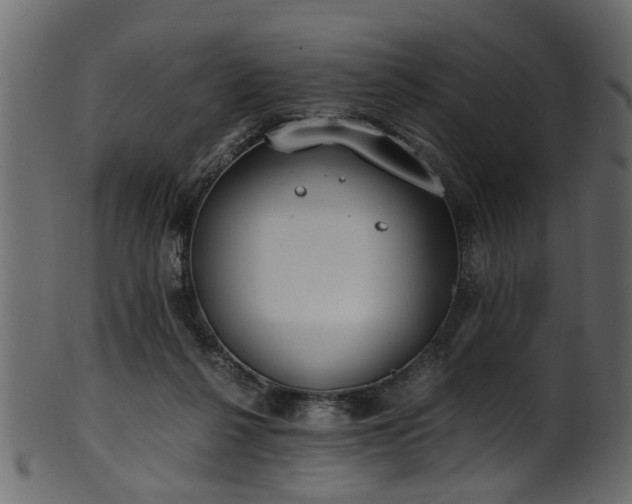 X0000102030264200807181357