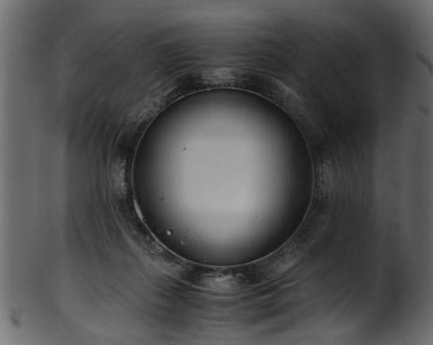 X0000102030267200807181357