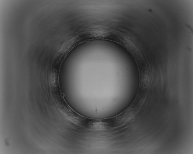 X0000102030268200807181357