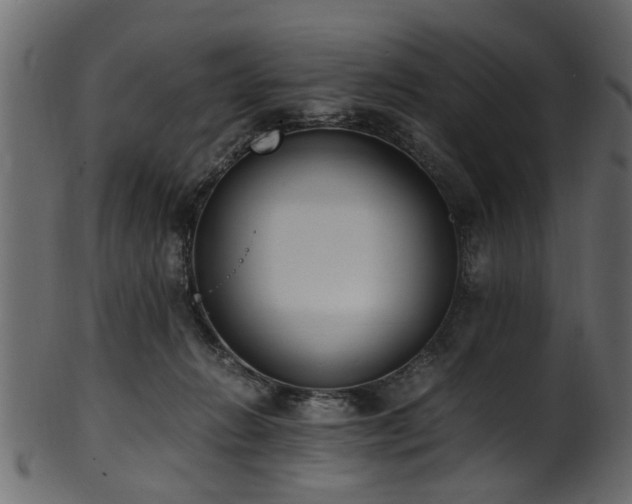 X0000102030270200807181357