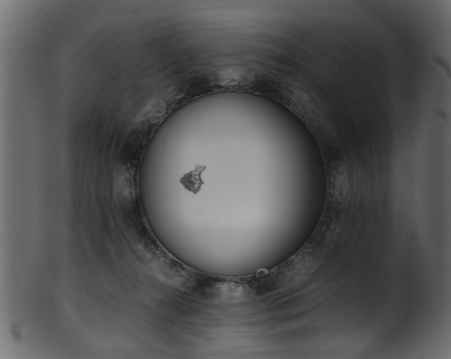 X0000102030272200807181357