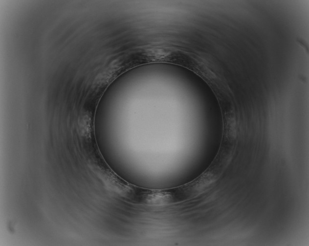 X0000102030274200807181357