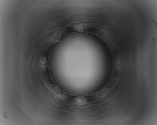 X0000102030275200807181357