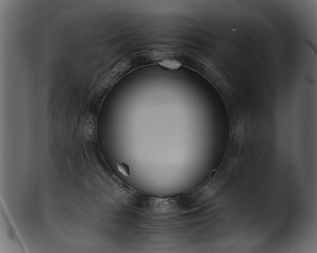 X0000102030277200807181357