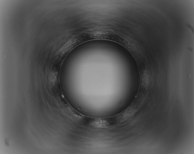 X0000102030278200807181357