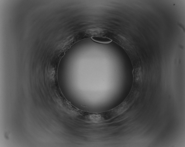 X0000102030279200807181357